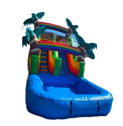 15 Ft Tall Palm Tree